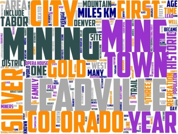 Leadville Wordart Tumbler
