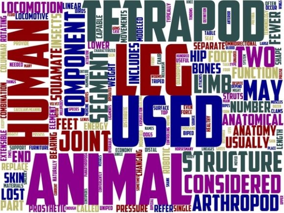 Lego Wordart Wallpaper: Colorful Hand-Drawn Wordcloud Design