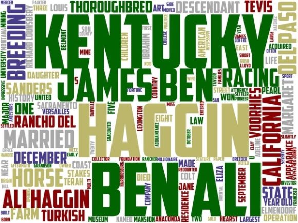 Mount Haggin Wordart Sublimation: A Versatile, Hand-Drawn Wordcloud for Practical Creative Projects