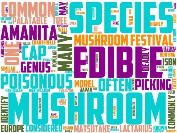 Mushroom Hunting Wordart Skinny Tumbler: Where Nature-Inspired Design Meets Modern Creative Utility