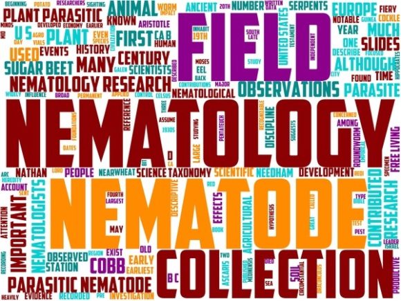 Nematology Wordart Book Cover