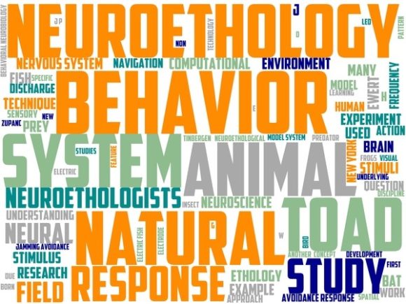 Neuroethology Wordart Background